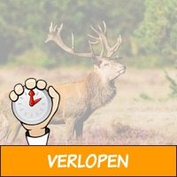 5 dagen Veluwe