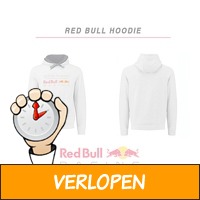 Formule 1 Red Bull 2018 team collectie