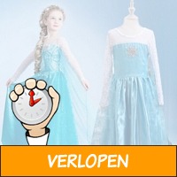 Veiling: Frozen Prinsessen Jurk Anna of Elsa