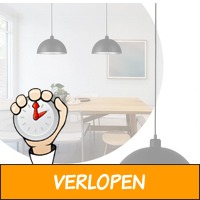 Set van 2 prachtige hanglampen