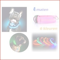 LED-halsband voor je hond