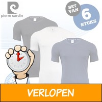 6 x Pierre Cardin T-shirts