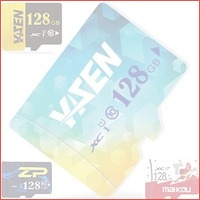 128GB Class 10 Micro SD-kaart