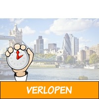 Bezoek de wereldstad Londen