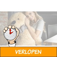 Grote teddybeer