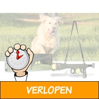 Tennisbal kanon - Leuk voor jou en je hond