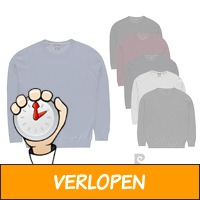 Pierre Cardin pullover