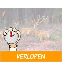 3 dagen Veluwe o.b.v. halfpension