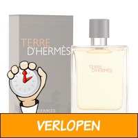 Hermes Terre D'Hermes EDT 100 ml