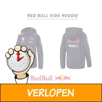 Formule 1 red bull 2018 team collectie