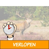 5 dagen Veluwe