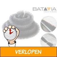 Batavia dakgoot egel