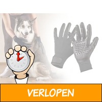 Vacht verzorging borstelhandschoenen