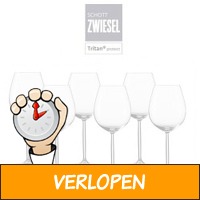 6 x Schott Zwiesel Diva wijnglazen