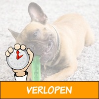 Tandenborstel voor honden