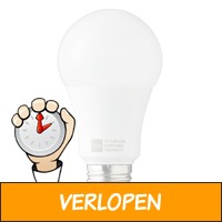 LED lamp 75W