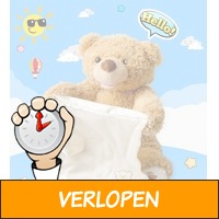 Kiekeboe teddybeer