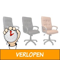 Breazz ergonomische bureaustoel