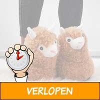 Alpaca pantoffels