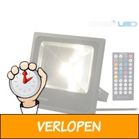 DreamLED LED floodlight