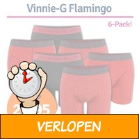 Vinnie-G boxershorts Flamingo 6-pack