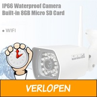 Outdoor 8GB IP66 720p IP-camera night vision IR Cut