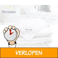 Dreamio donzen 4-seizoenen dekbed