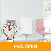 Stijlvolle business bureaustoelen