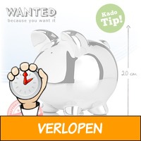 Wanted spaarvarken XXL