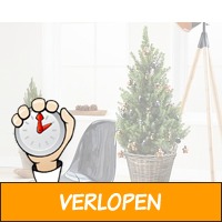 Twee volle kerstboompjes