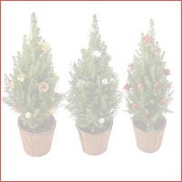 Set van 2 Mini Kerstboompjes