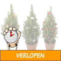 Set van 2 Mini Kerstboompjes