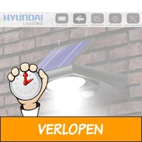 Hyundai security light