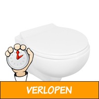 Spoelrandloze WC met softclose zitting