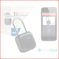 Bluetooth hangslot