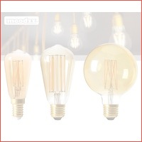 Dimbare retro LED filament lampen