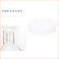 Grundig rookmelder