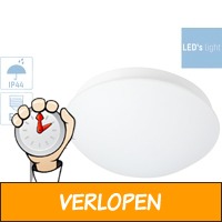 LED's Light plafondlamp