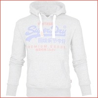 Superdry Sweater Duo Hood grijs