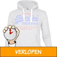 Superdry Sweater Duo Hood grijs