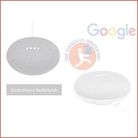 Google home mini