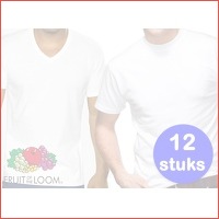 12 Fruit of the Loom T-shirts