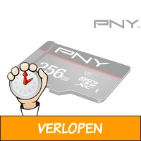 PNY 256 GB microSD