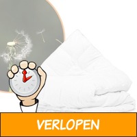 Sleeptime Velvet donzen 4-seizoenen dekbed