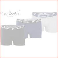 Pierre Cardin boxers