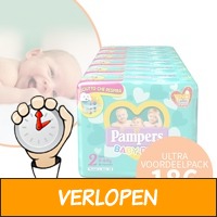 Pampers Baby Dry luiers