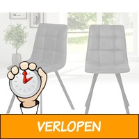 Set van 2 Eetkamerstoelen Lisa