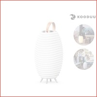 Kooduu Synergy 65 Bluetoothspeaker