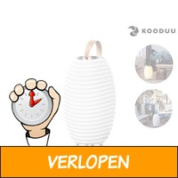 Kooduu Synergy 65 Bluetoothspeaker