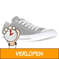 Converse All Star Ox sneakers